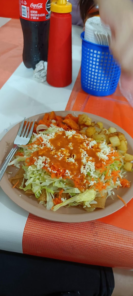 El Castor Tacos Y Tortas Photos 2